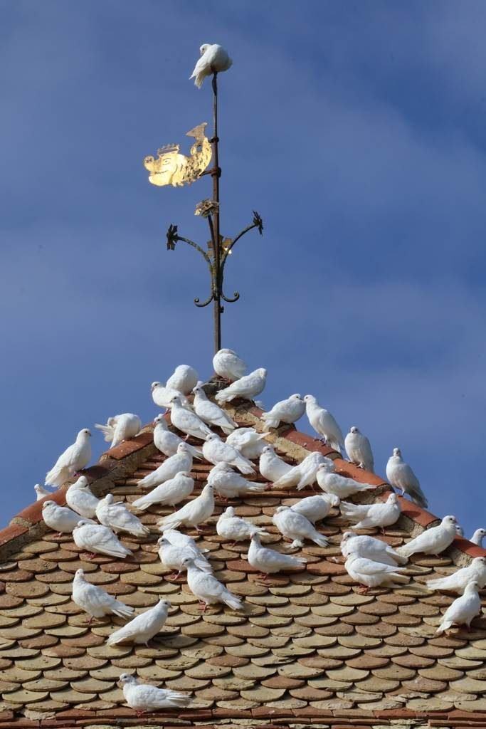 Jardin de William Christie