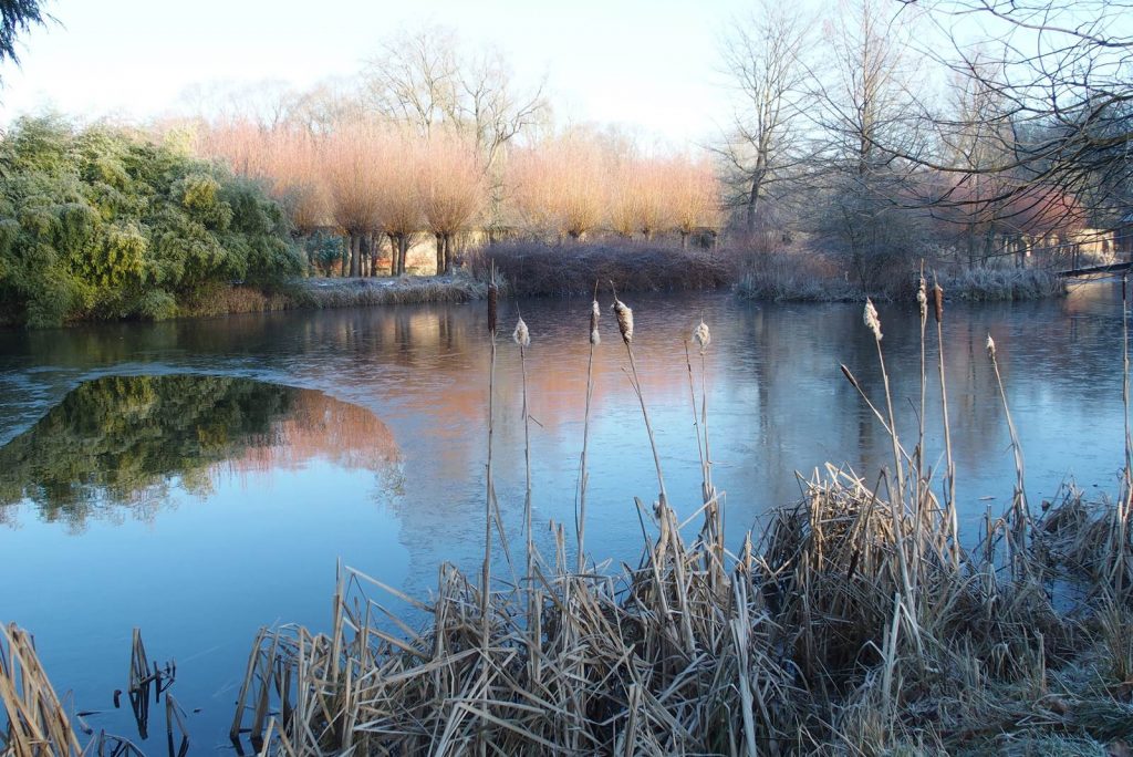 L'hiver à l'Abbaye d'Aywiers