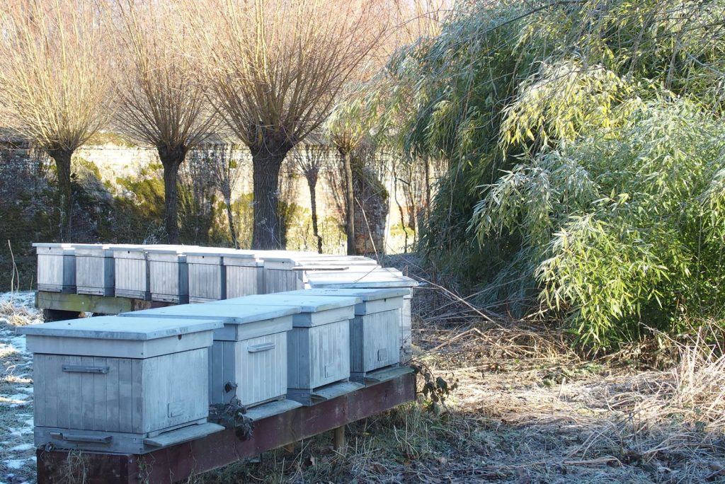 Abbaye d'Aywiers hiver