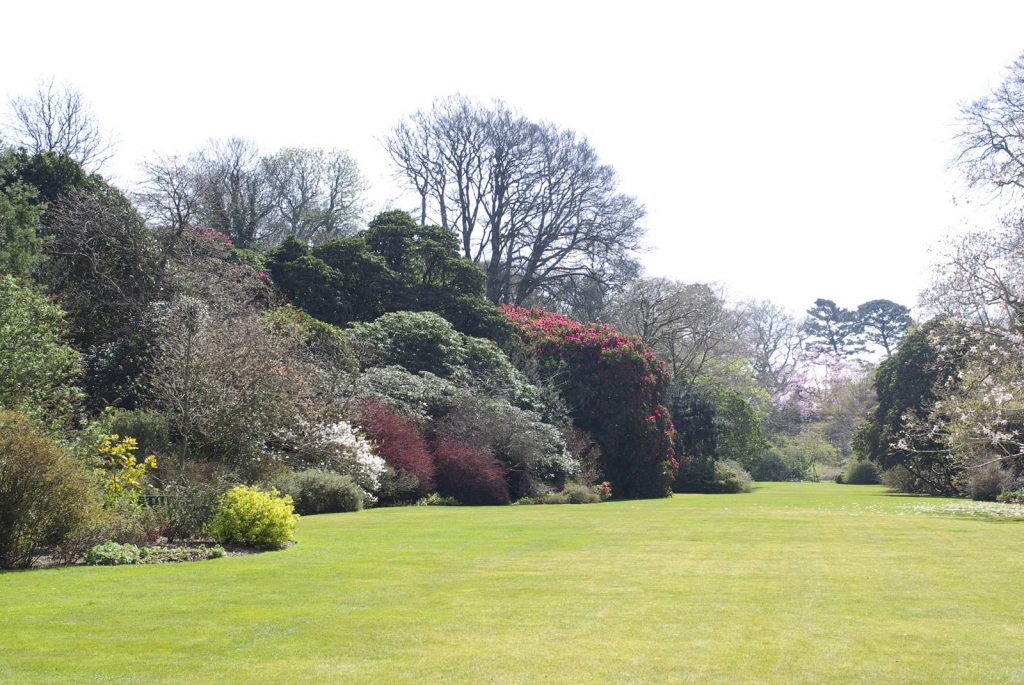 Trewithen Garden