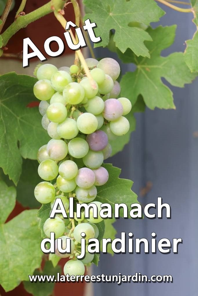 Aout Almanach du jardinier