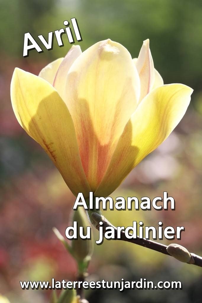 Almanach du jardinier Avril