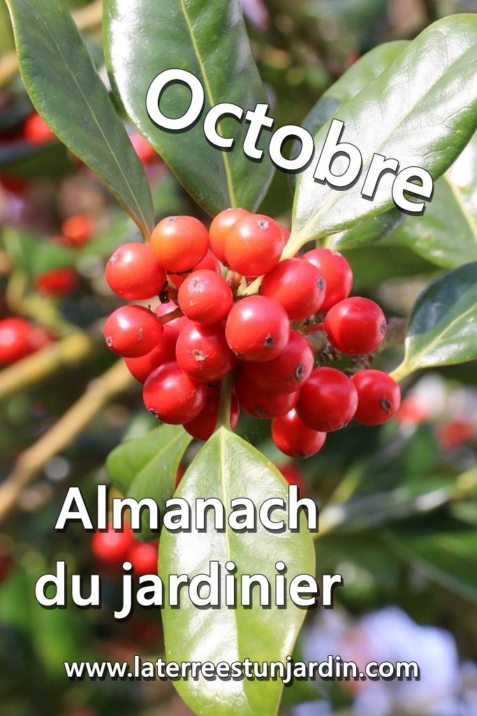 Octobre Almanach du jardinier