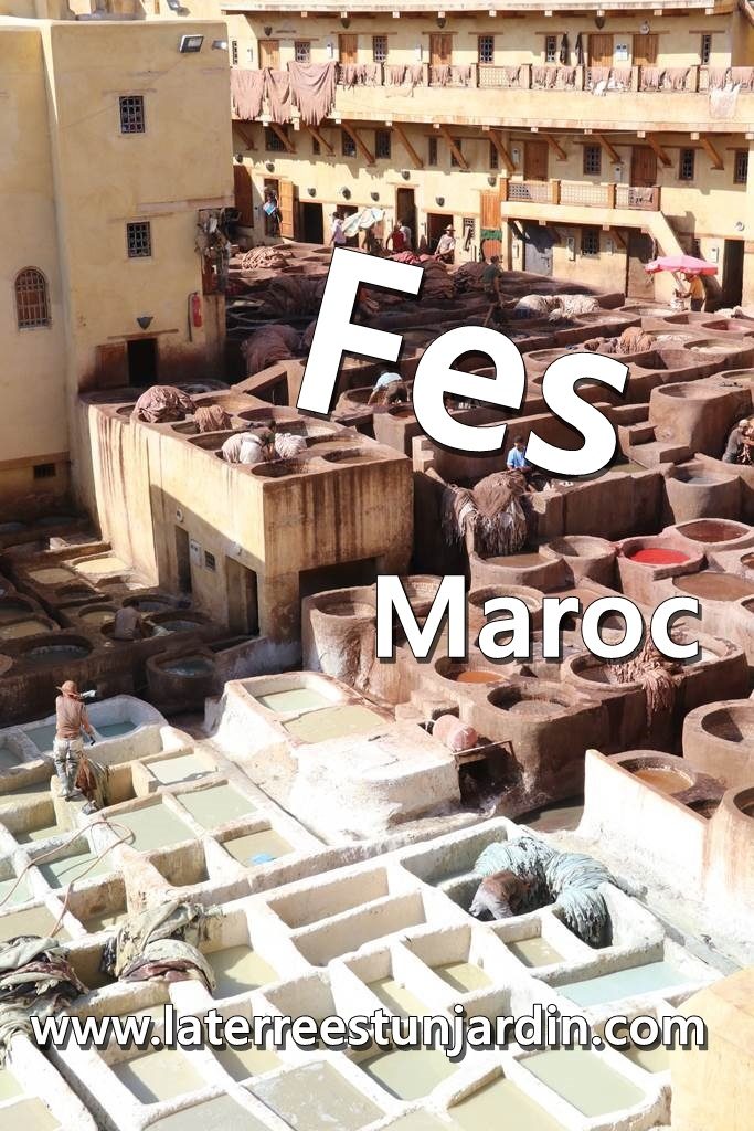 Fes Maroc