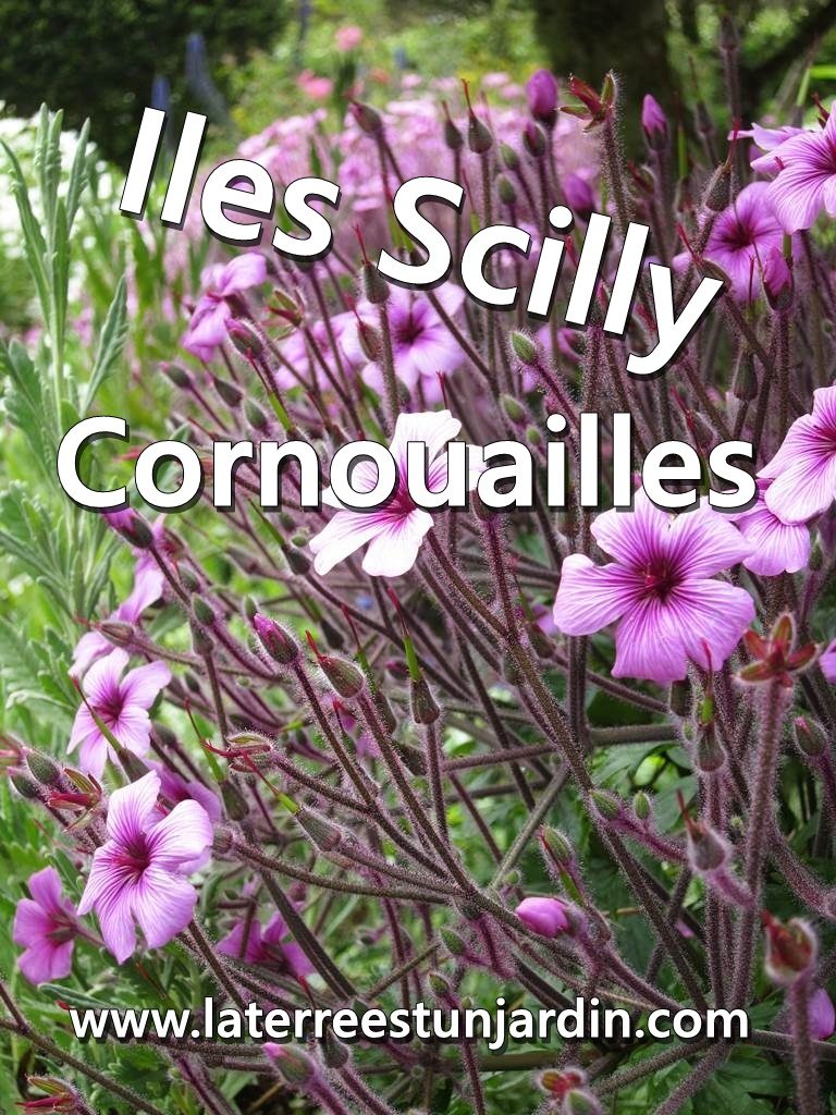 Iles Scilly Cornouailles