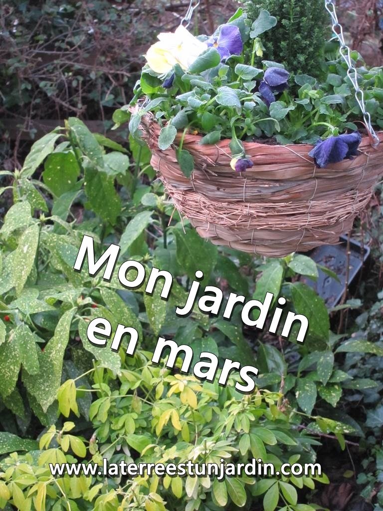 Mon jardin en mars