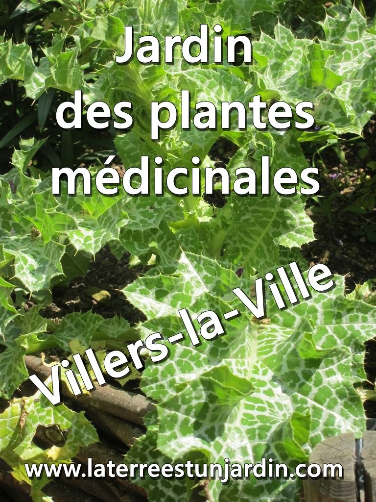 Villers la ville Jardin plantes médicinales