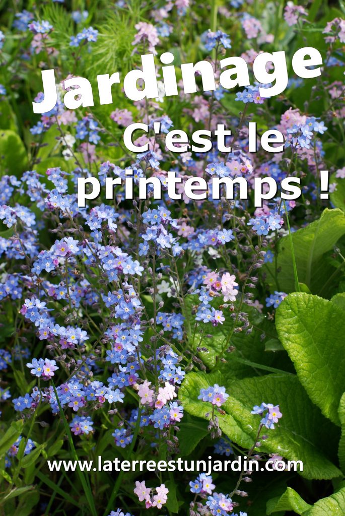 Jardinage printemps