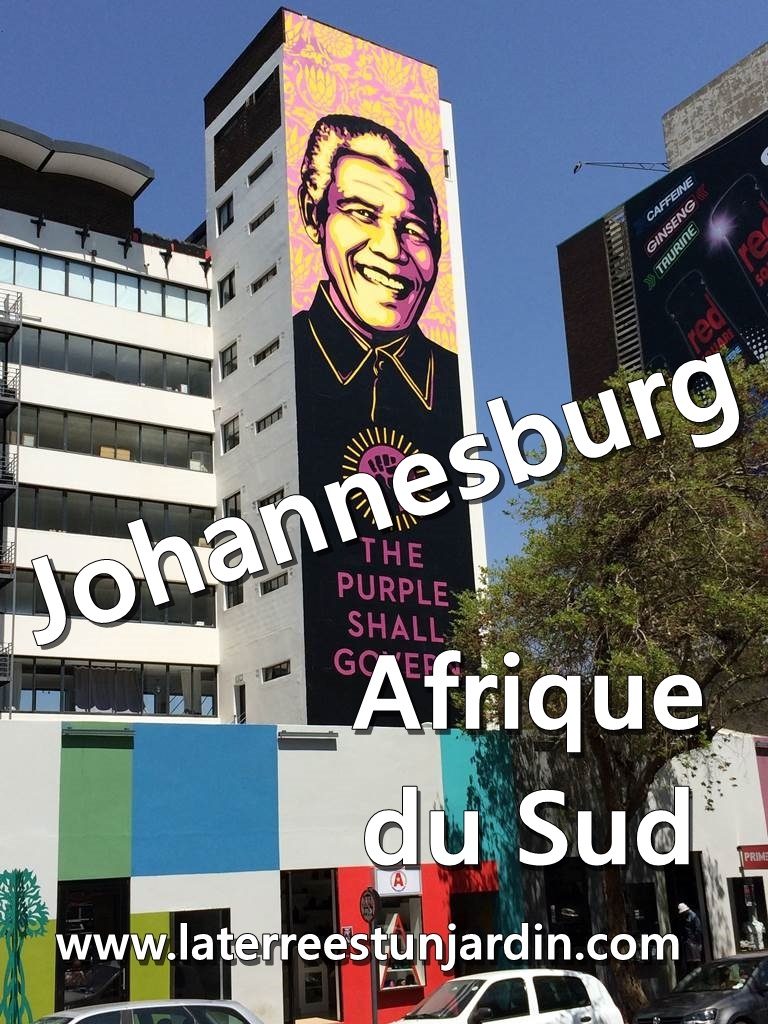 Johannesburg Afrique du Sud