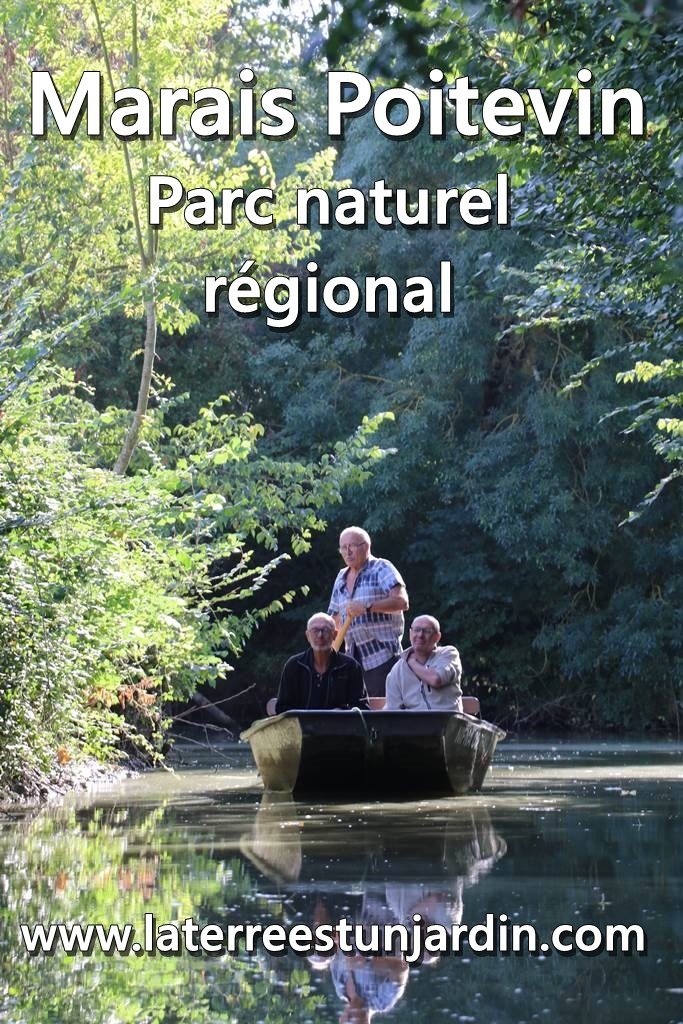 Marais Poitevin