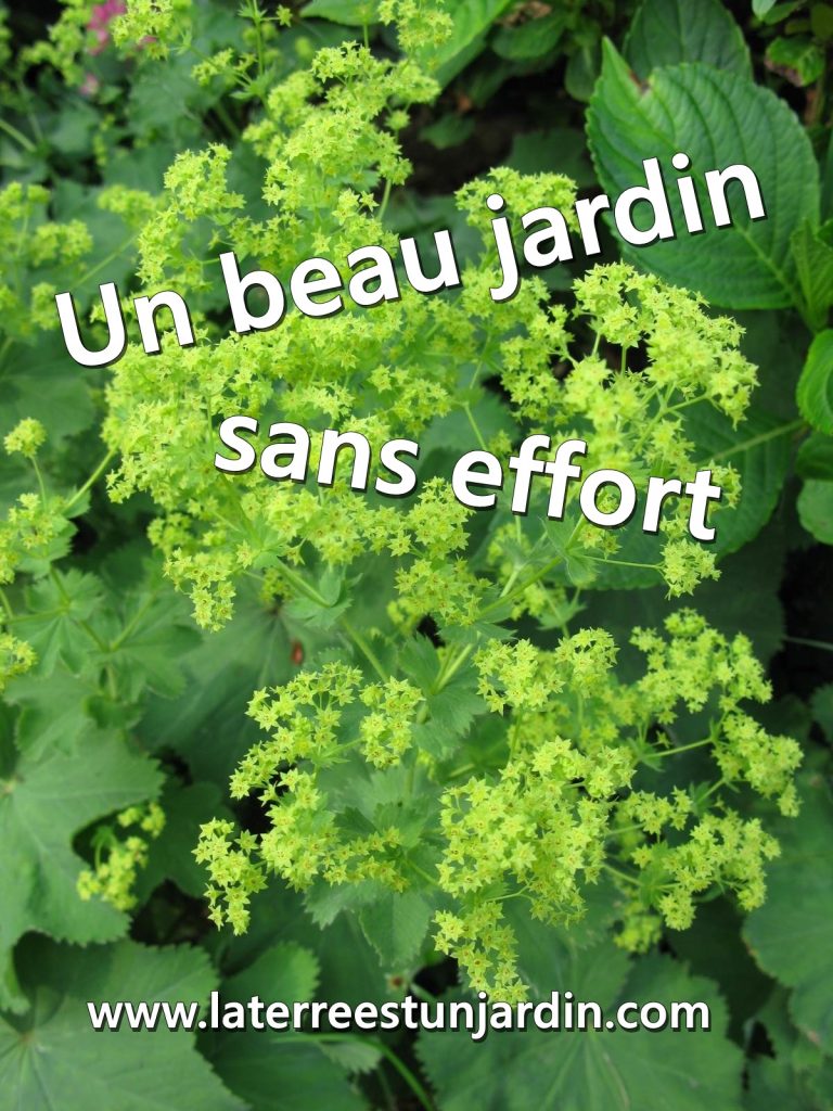 Jardin sans effort