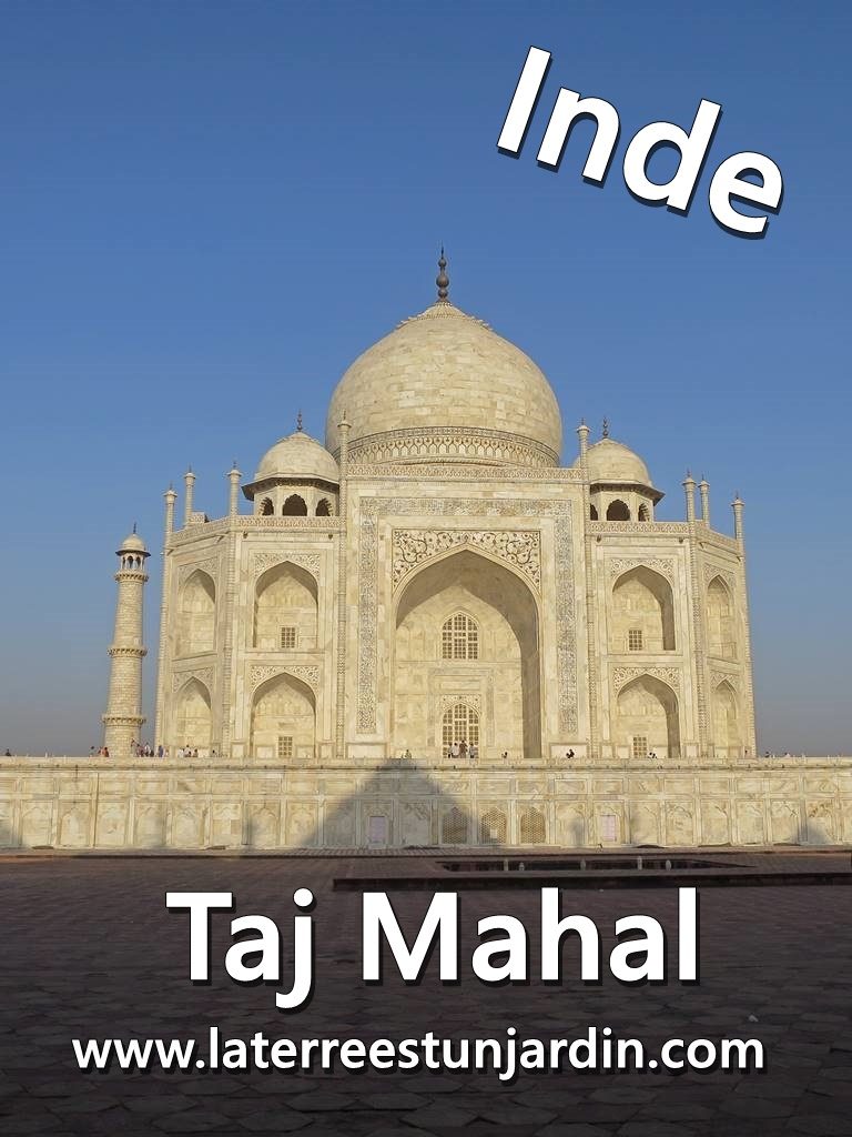 Taj Mahal Agra Inde