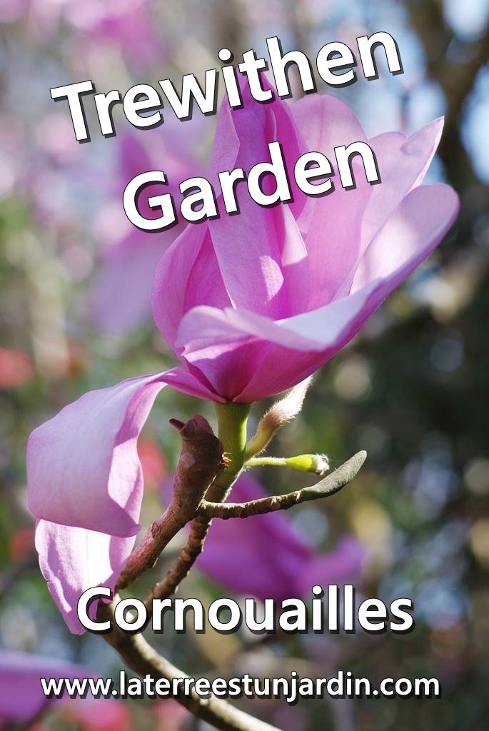 Trewithen Garden