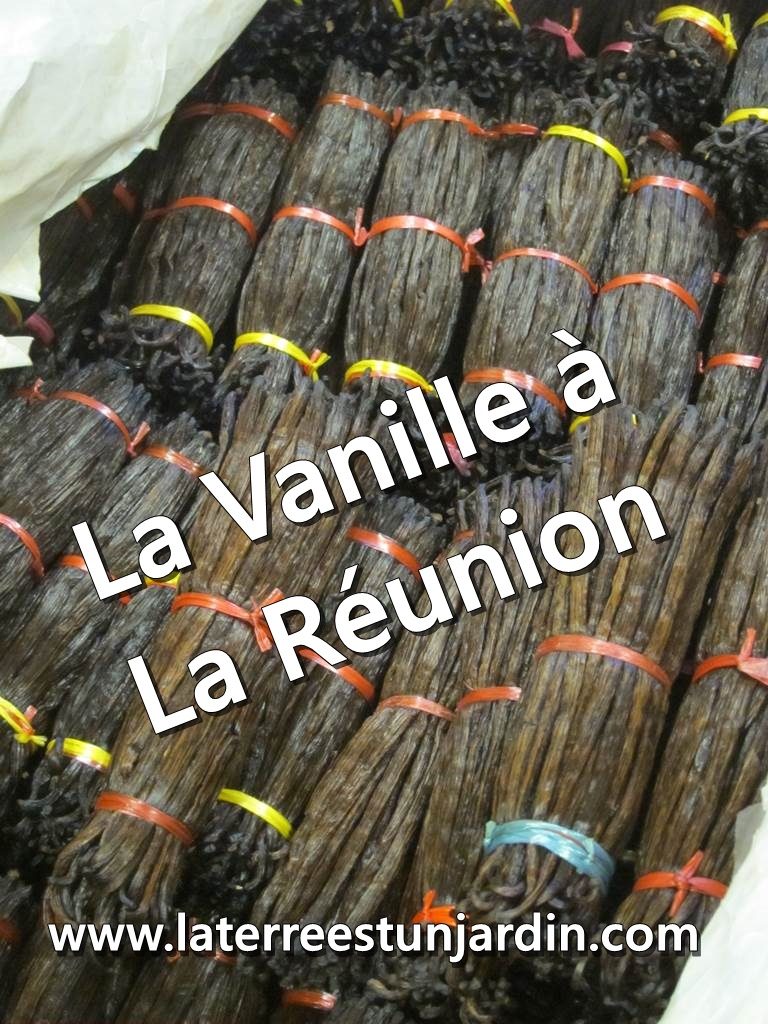 La Vanille Réunion