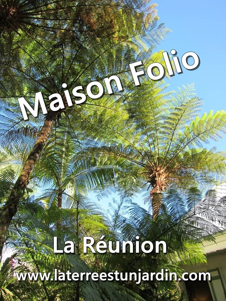 Maison Folio Réunion