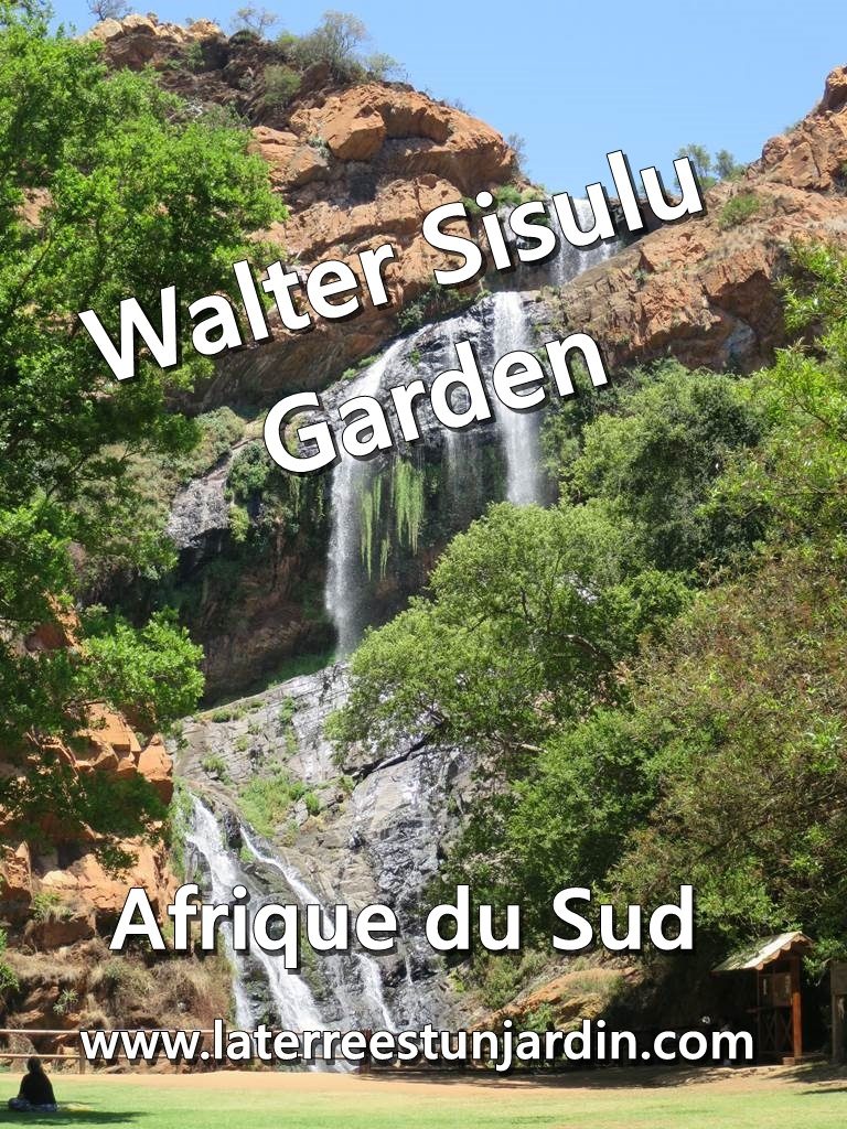 Walter Sisulu Botanical Garden