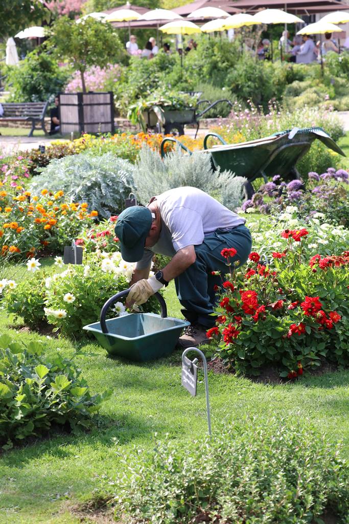 Jardin botanique de Nantes