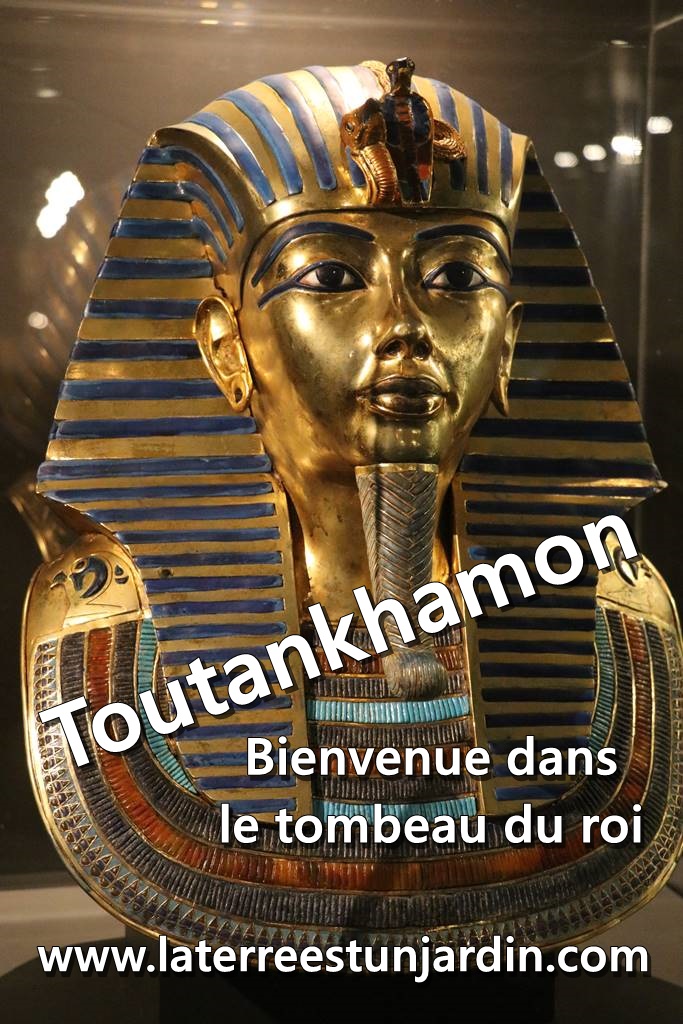 Toutankhamon Bienvenue Dans Le Tombeau Du Roi La Terre Est Un Jardin Toutankhamon Bienvenue Dans Le Tombeau Du Roi La Terre Est Un Jardin