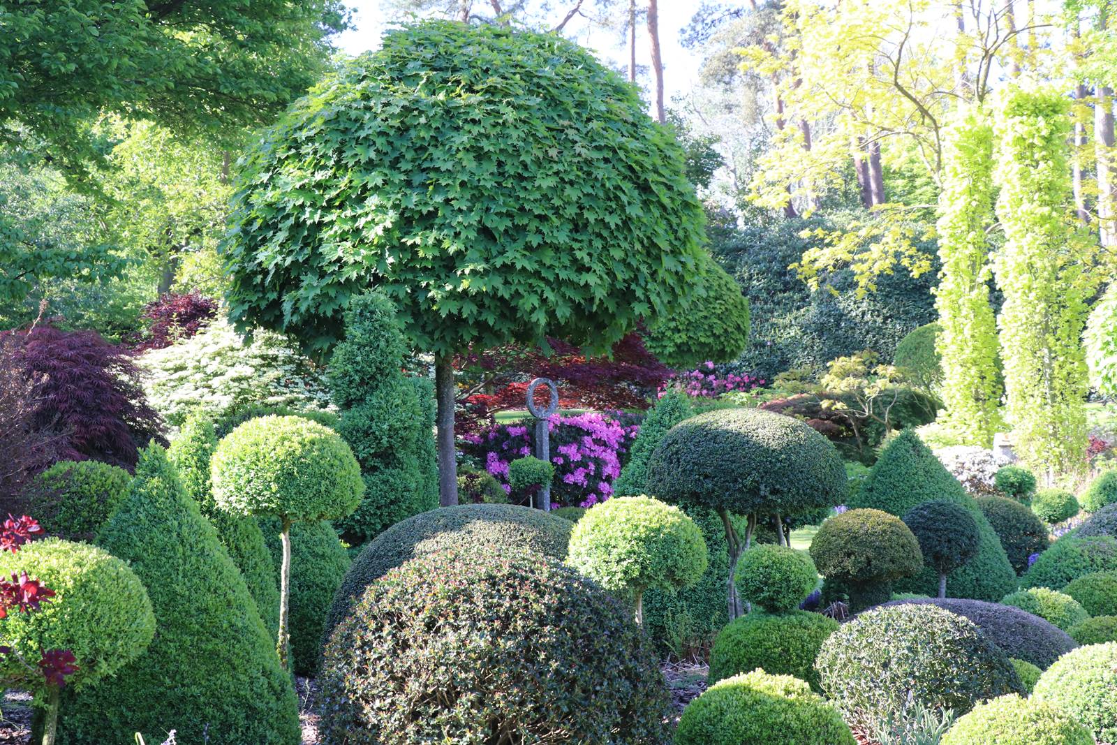 Vieux Manant jardin printemps