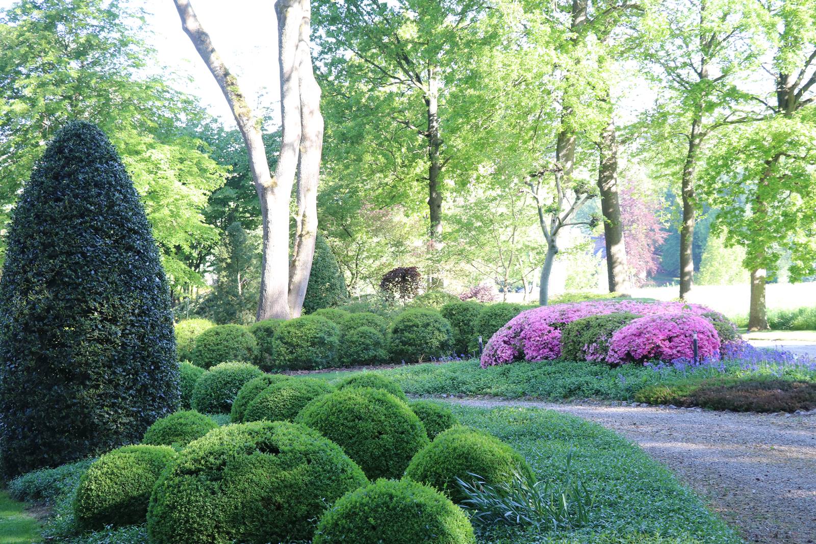 Vieux Manant jardin printemps