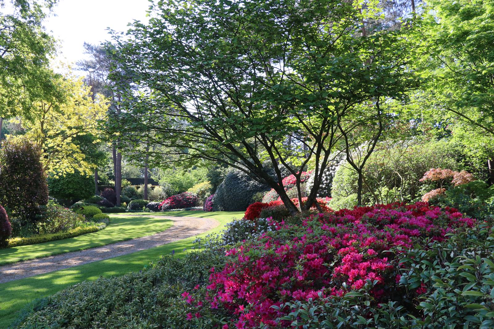 Vieux Manant jardin printemps