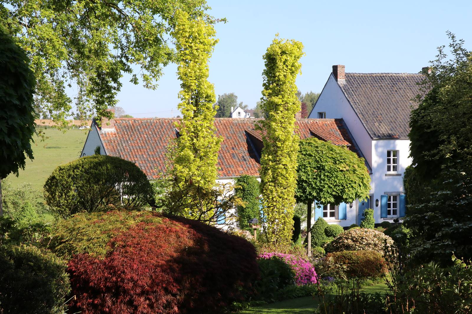 Vieux Manant jardin printemps