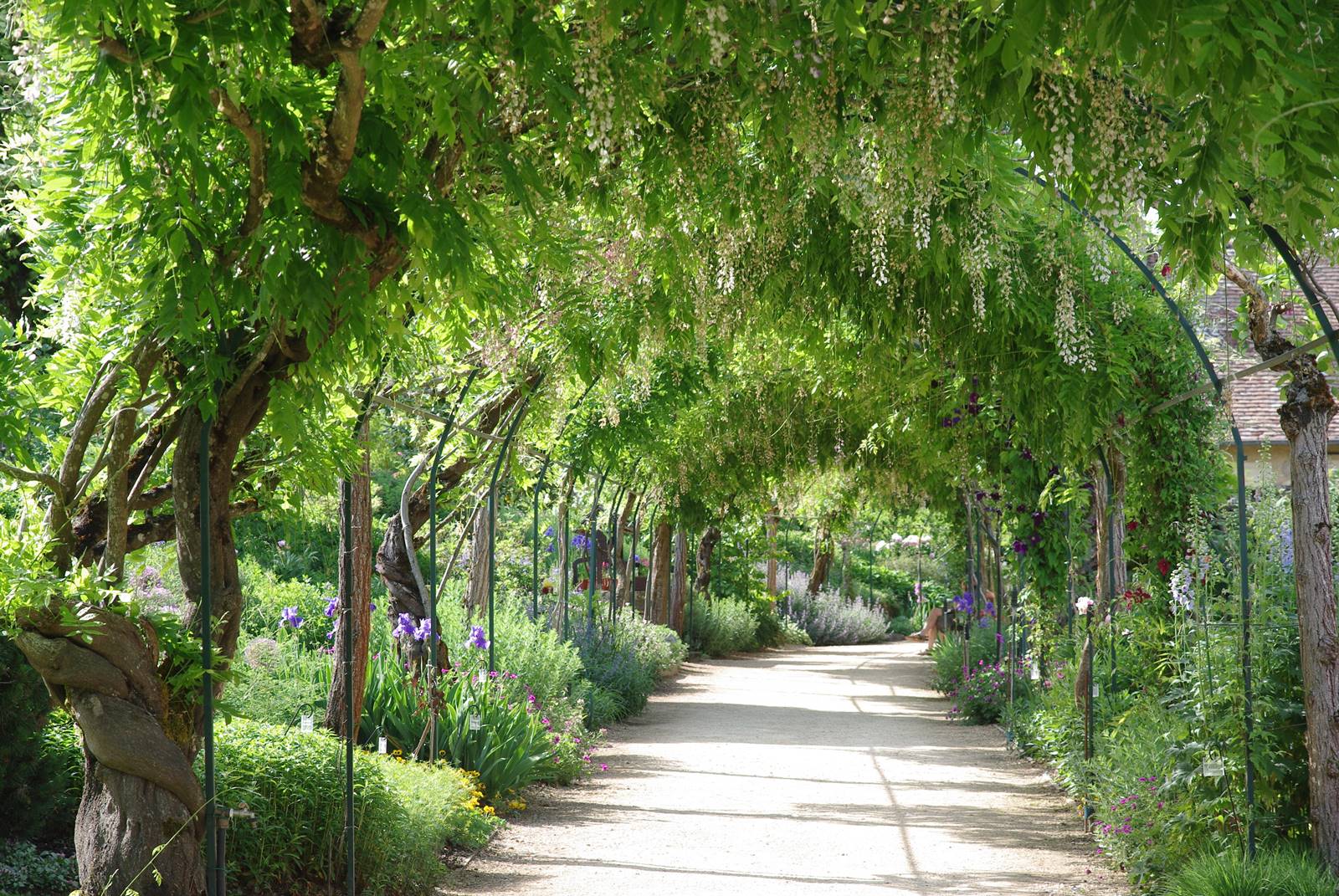 Parc floral d'Apremont