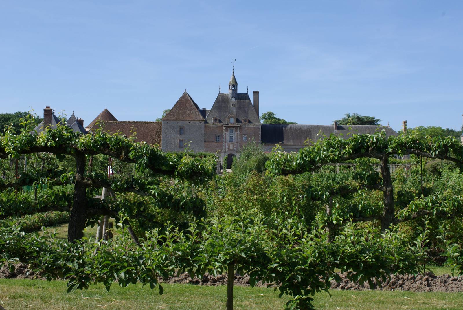 Verger de la Bussière