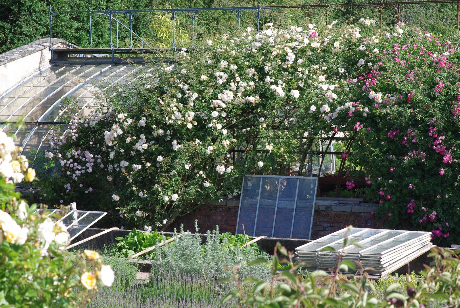 Potager de la Bussière