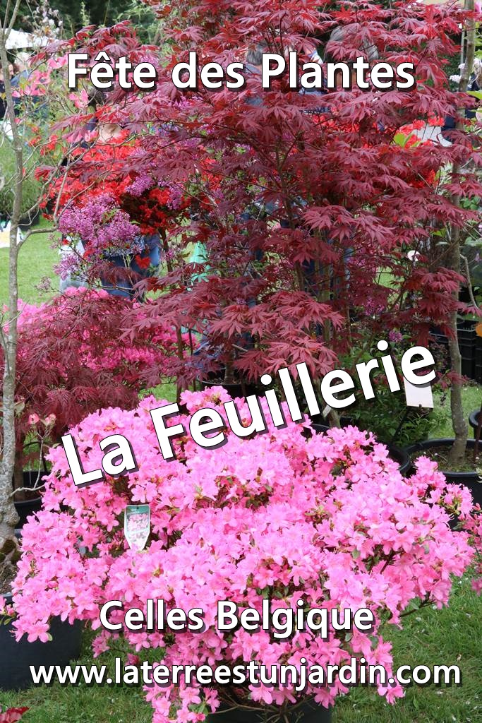 Fête des plantes à La Feuillerie