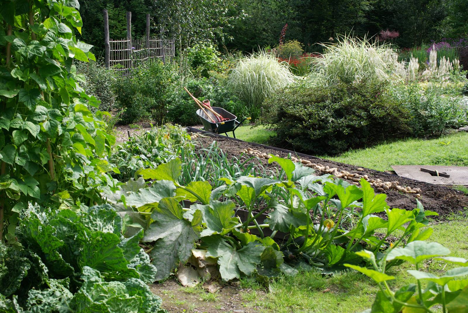 Potager Jardin studio de Luc Noël