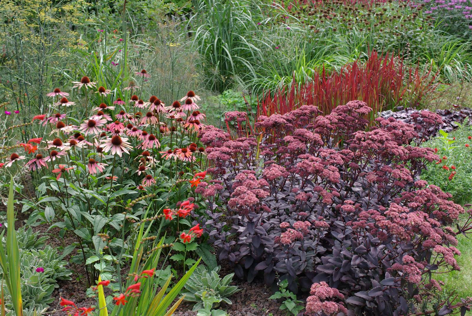 Jardin studio Luc Noël