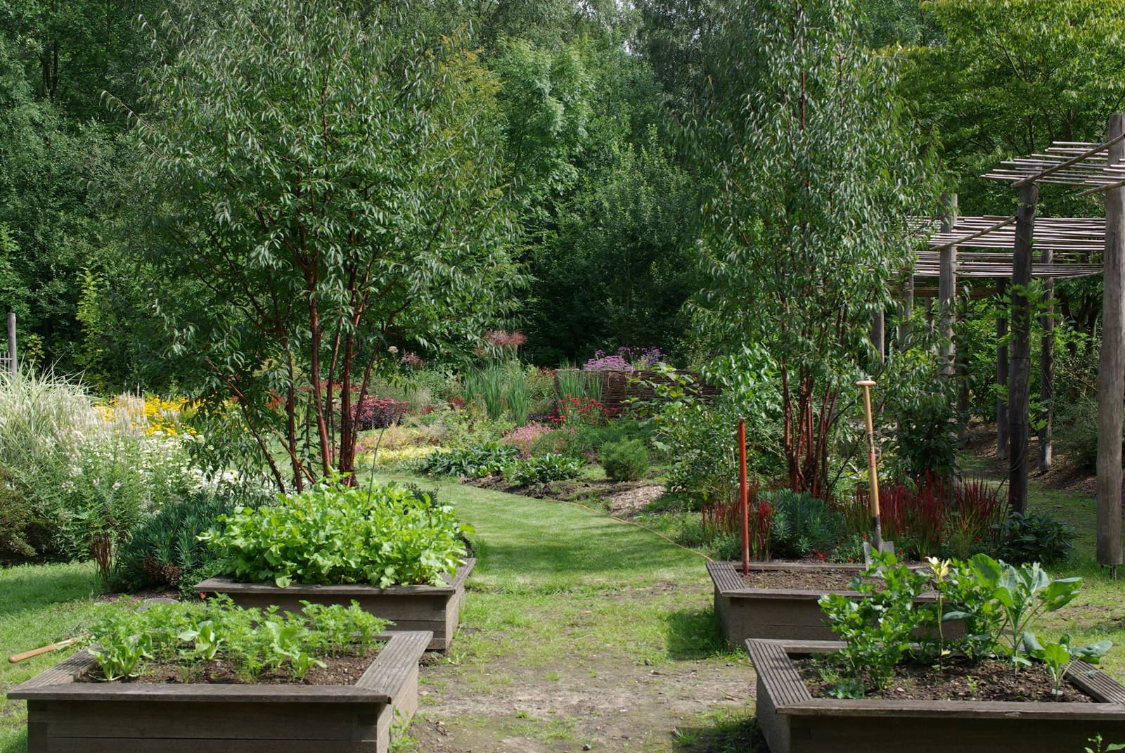 Jardin studio de Luc Noël