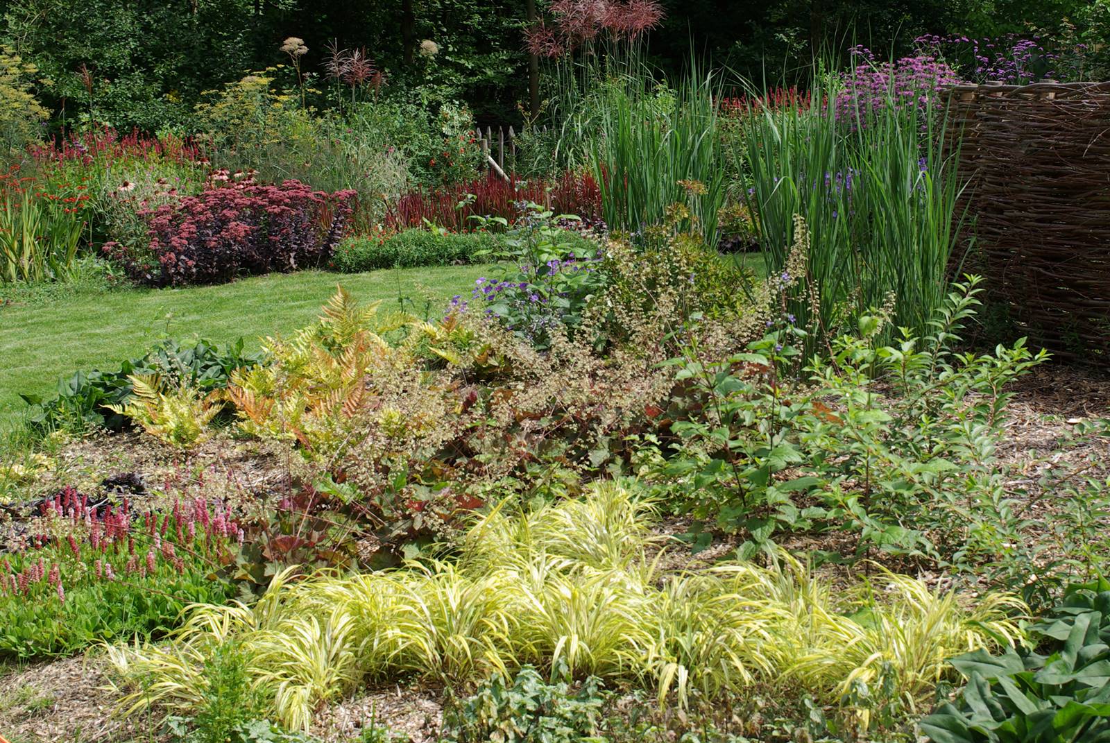 Jardin studio de Luc Noël