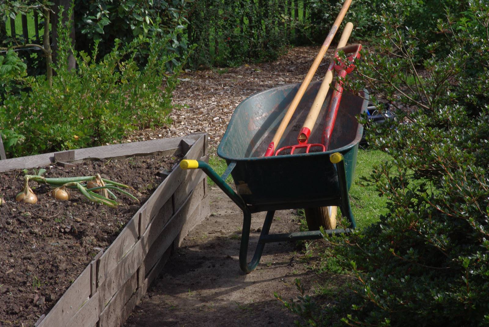 Jardin studio de Luc Noël