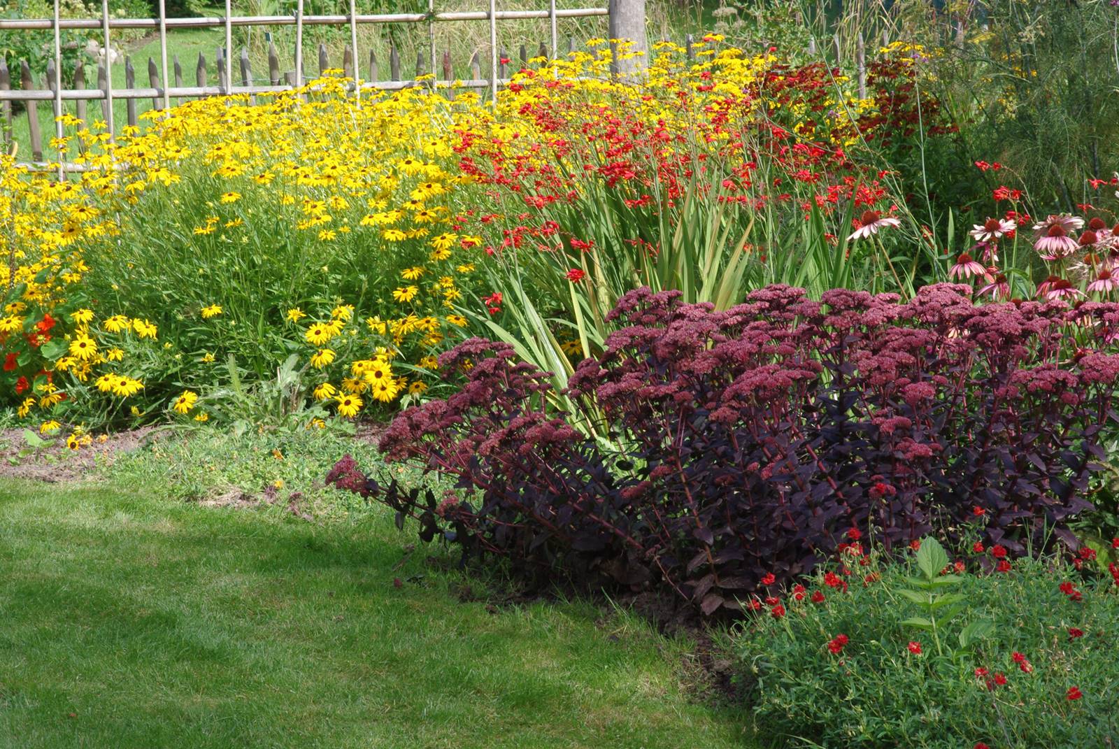 Jardin studio de Luc Noël