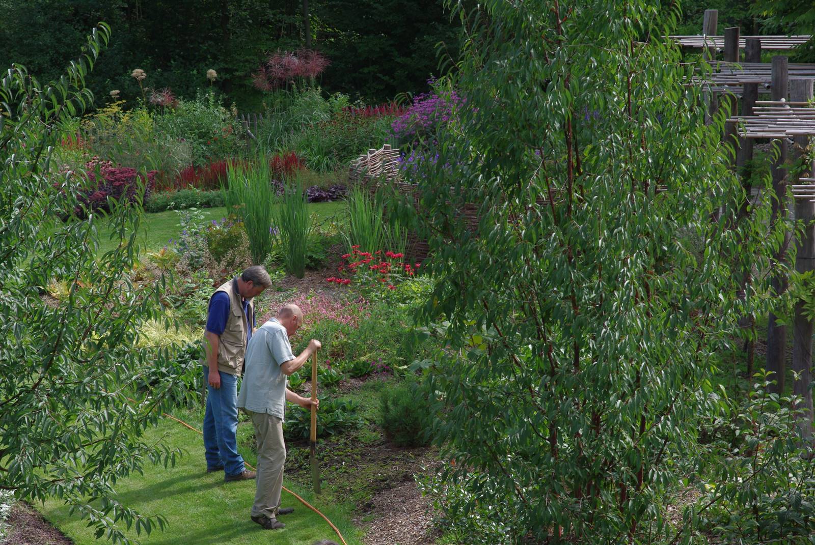 Jardin studio de Luc Noël