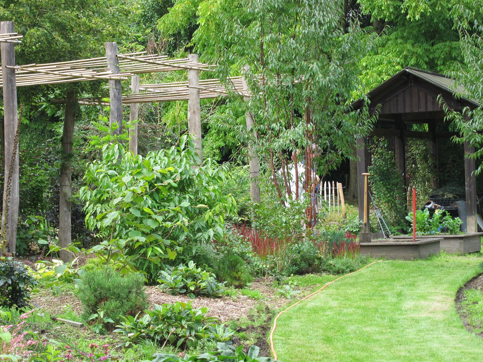 Jardin studio de Luc Noël