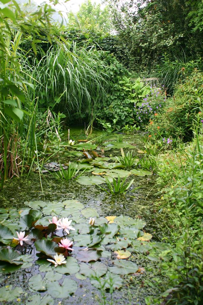 Jardin de Marc Knaepen