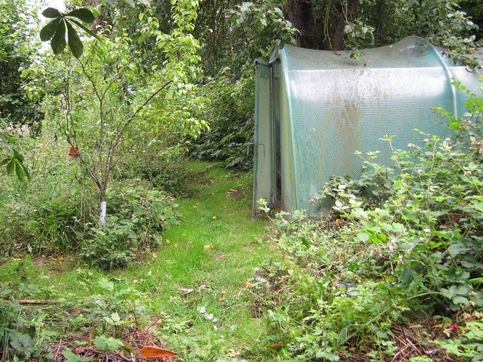 Jardin vivant de Marc Knaepen