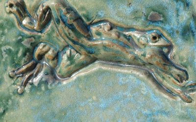 Froggies Paradise, au bonheur des grenouilles