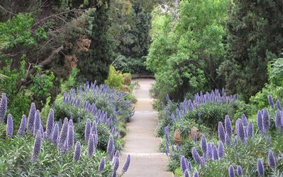 Les jardins de la Villa Hanbury