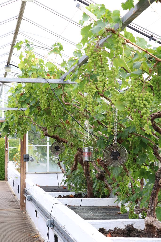 Bowood Wiltshire (34)