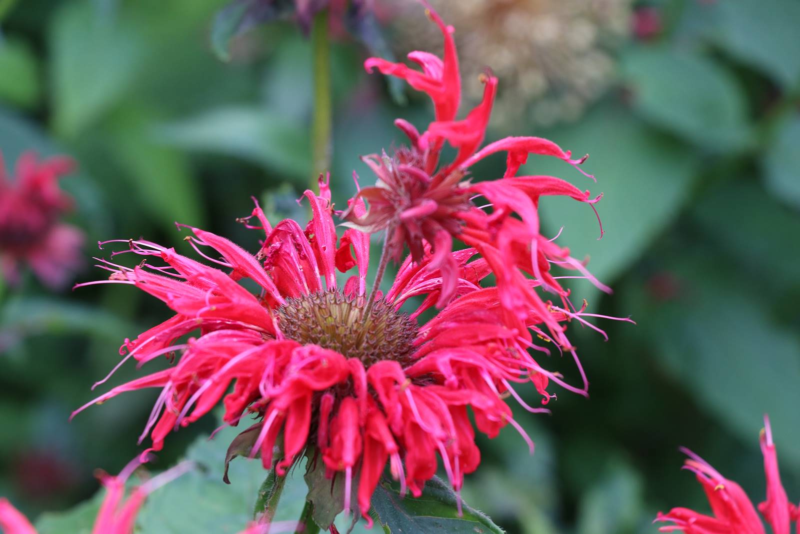 The Courts Wiltshire (8)