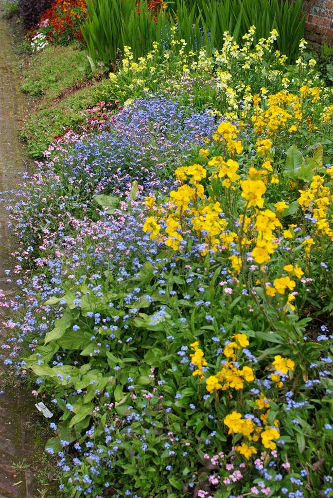 Barrington Somerset (11)