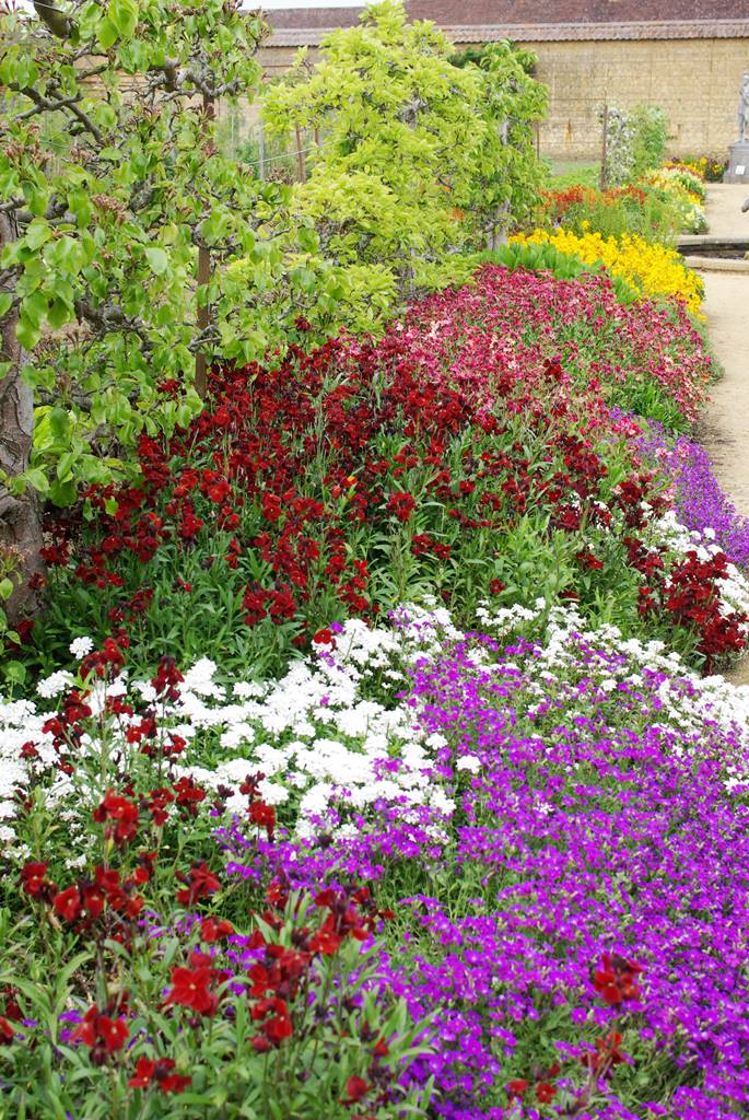 Barrington Somerset (6)