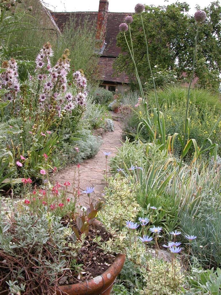 East Lambrook jardin (13)