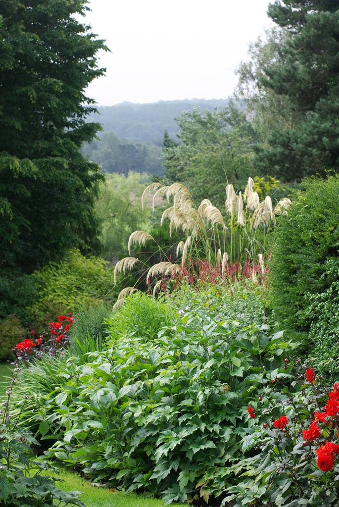 The Dorothy Garden (14) The Dorothy Garden (14)