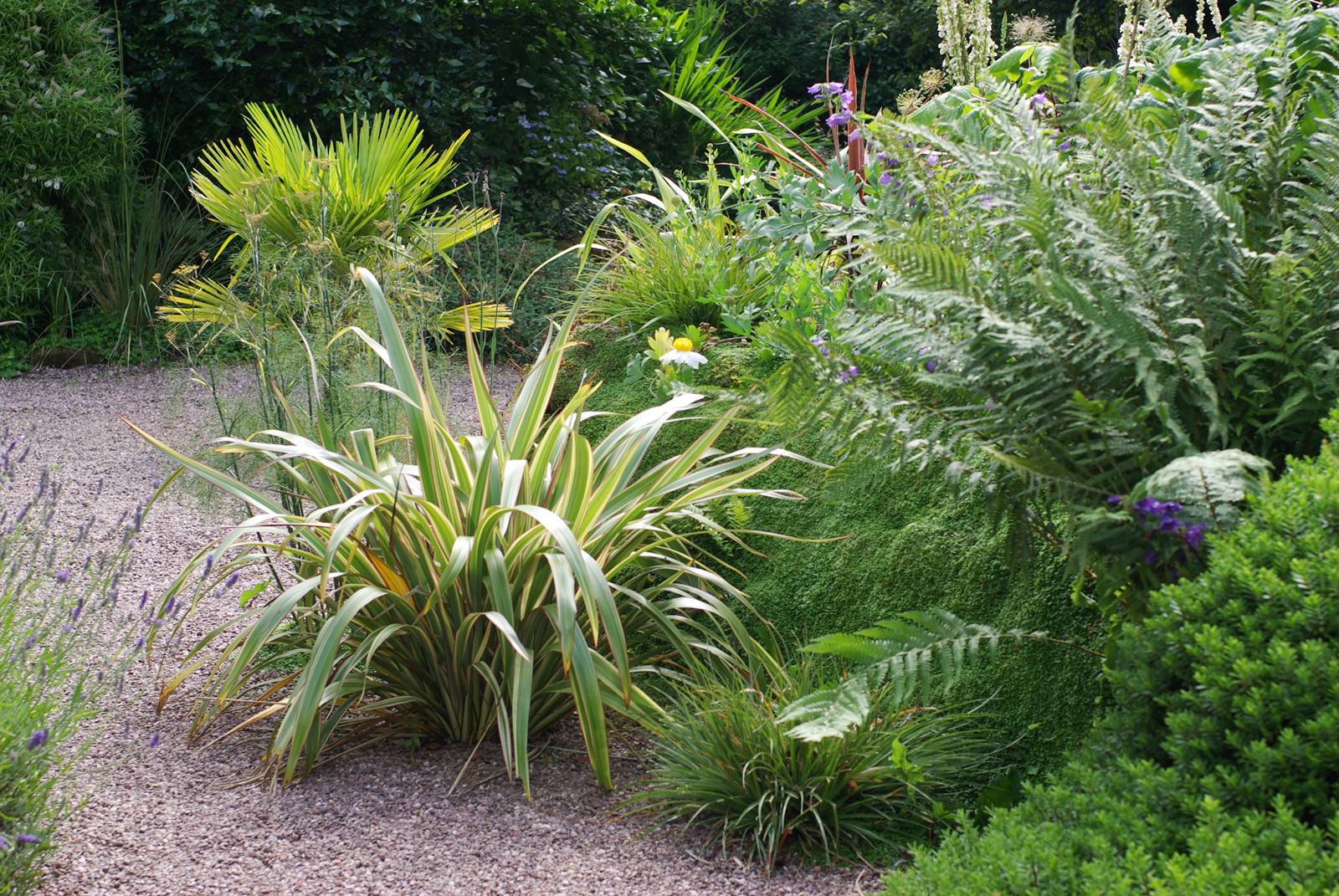 The Dorothy Garden (17) The Dorothy Garden (17)