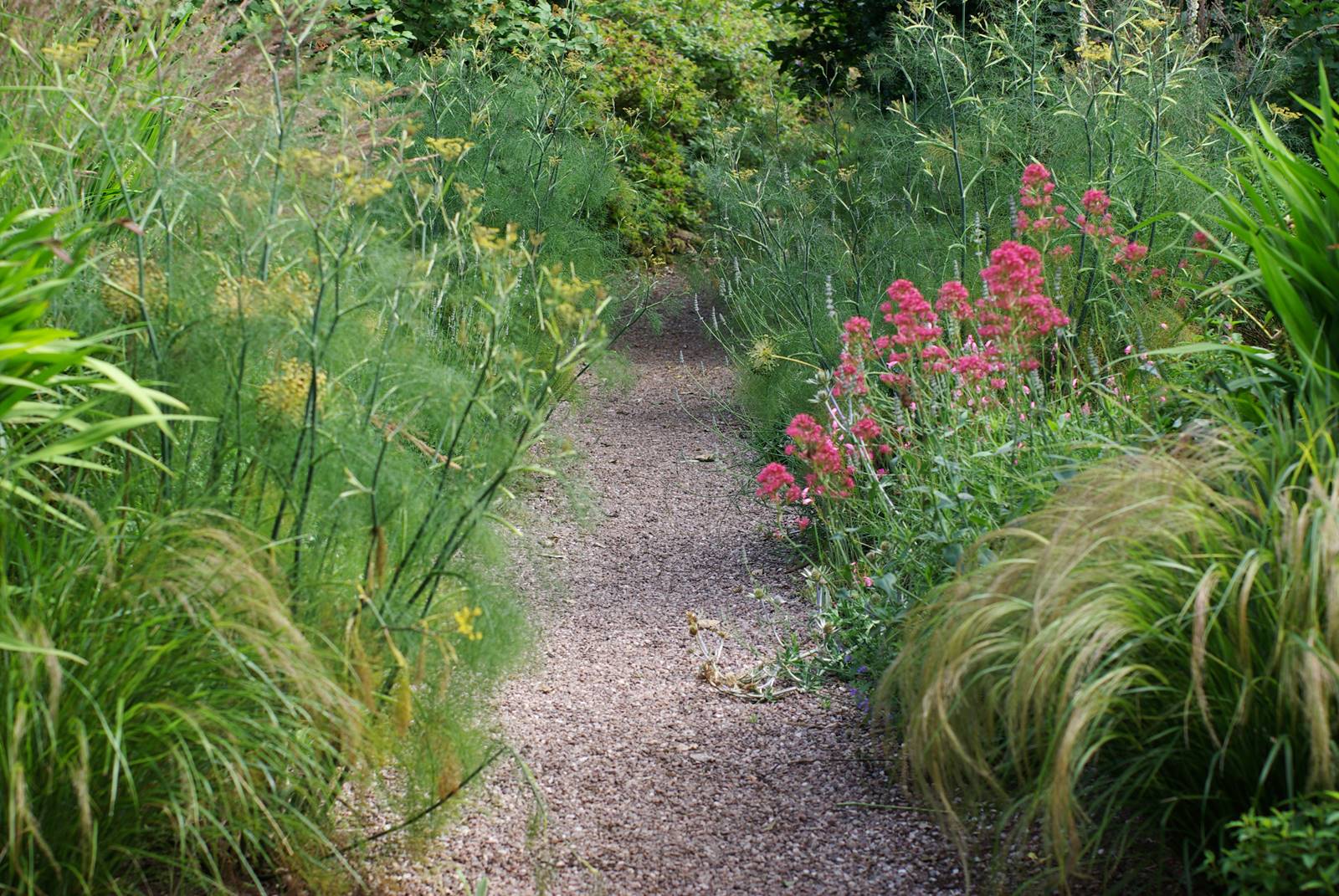 The Dorothy Garden (20) The Dorothy Garden (20)